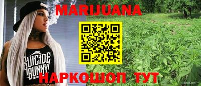 гидра Краснодар